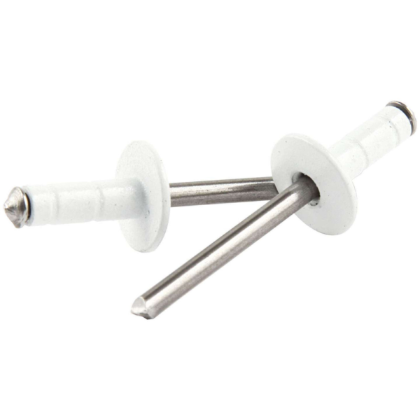 Allstar Performance Medium Head Rivet White 250PK Multi Grip (ALL18092)