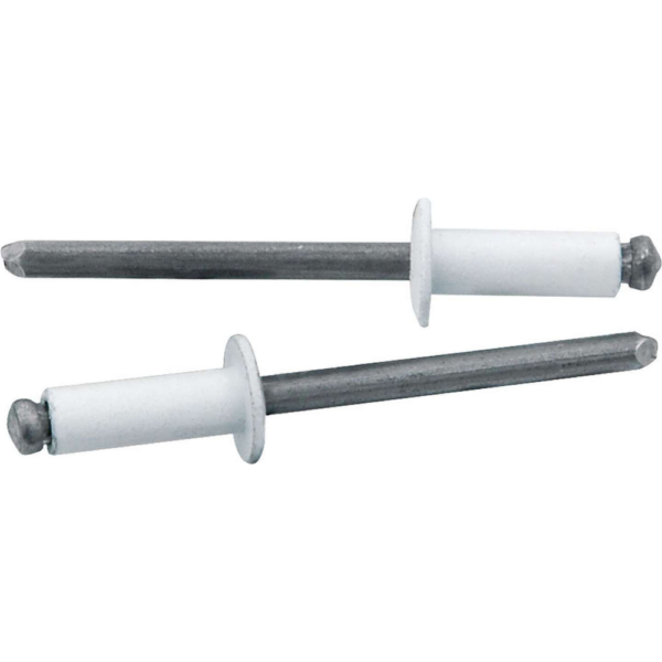 Allstar Performance Small Head Rivet White 250PK (ALL18114)